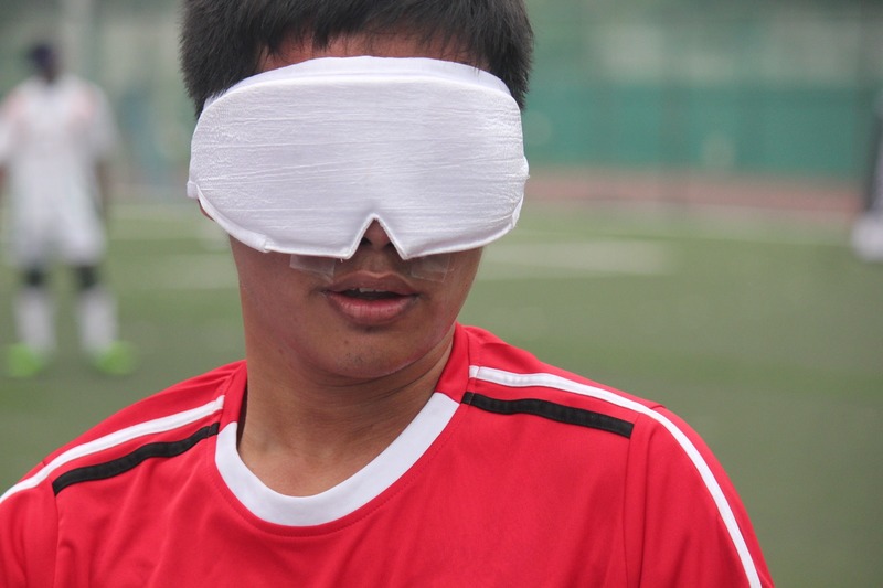 a close photograph of laos player